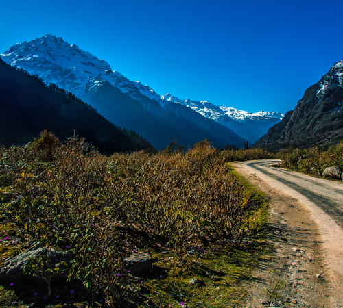 Gangtok Lachung Yumthang Package